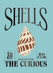 Book cover of Shells by Susan E. Clark