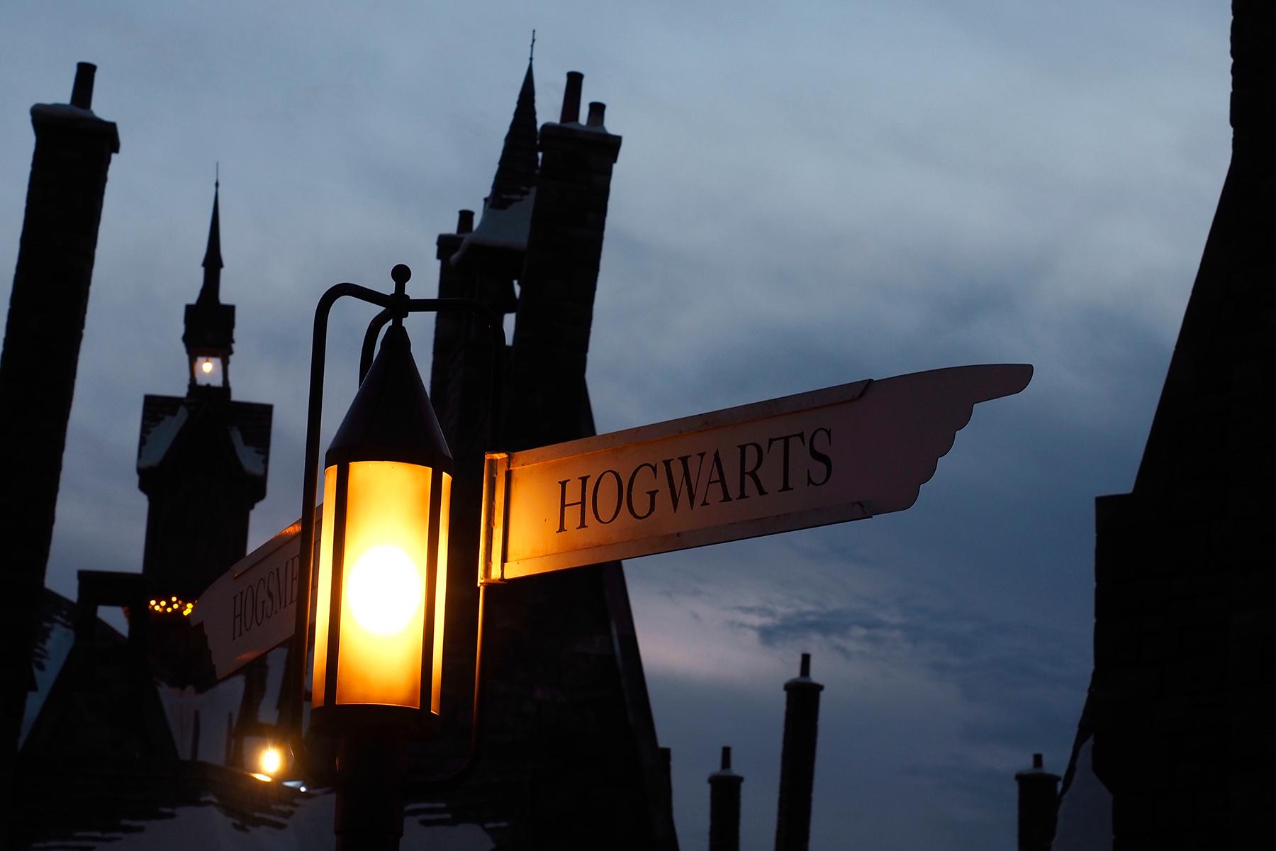 12 magical books for Harry Potter fans