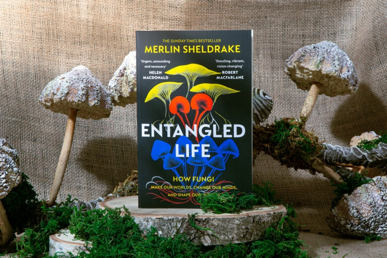 Book, Entangled Life, surrounded by fungi and moss