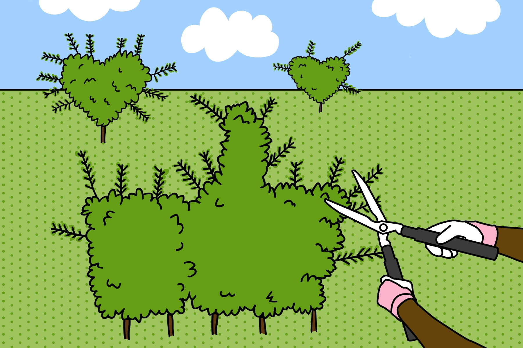 Books to help ease your social media use