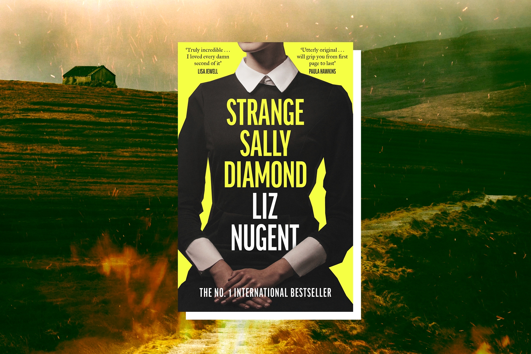 Extract: Strange Sally Diamond by Liz Nugent
