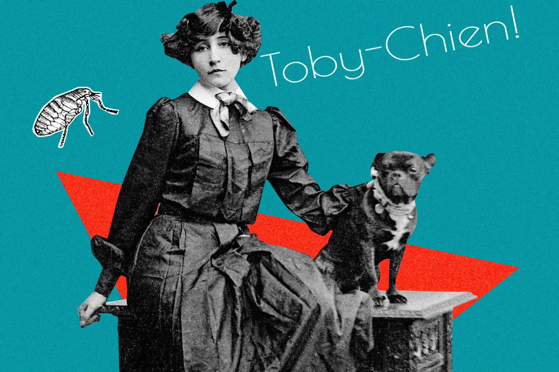 A moving gif of Colette with her dog, and writing saying Toby-Chien, with moving fleas and combs