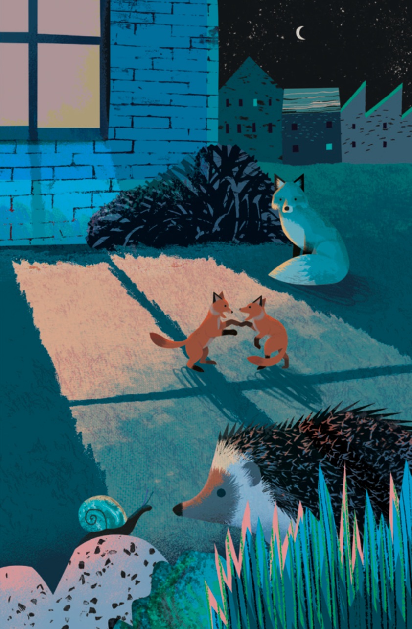 An illustration of foxes, a snail and a hedgehog in an urban garden, from the book 'What to Look For in Spring'