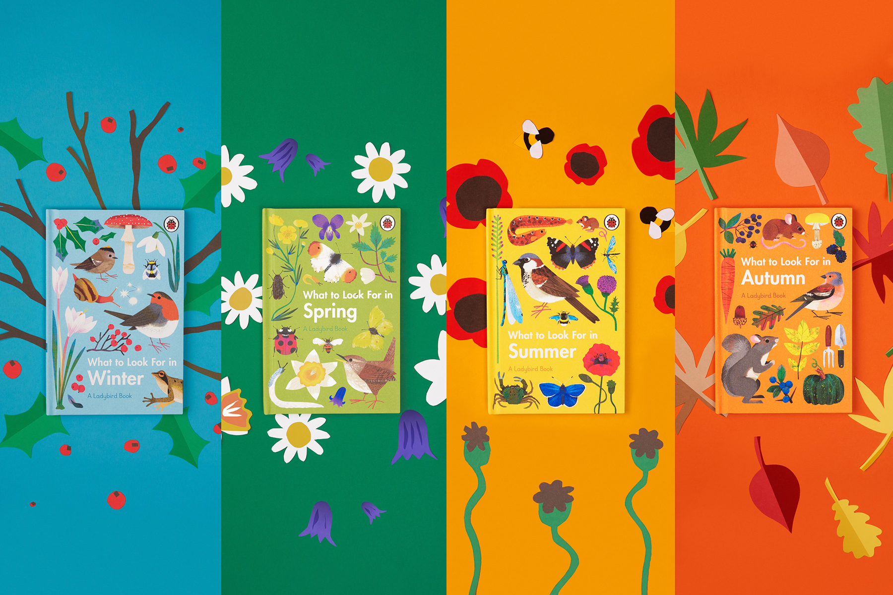 The four redesigned covers of the 'What to Look For' nature book series