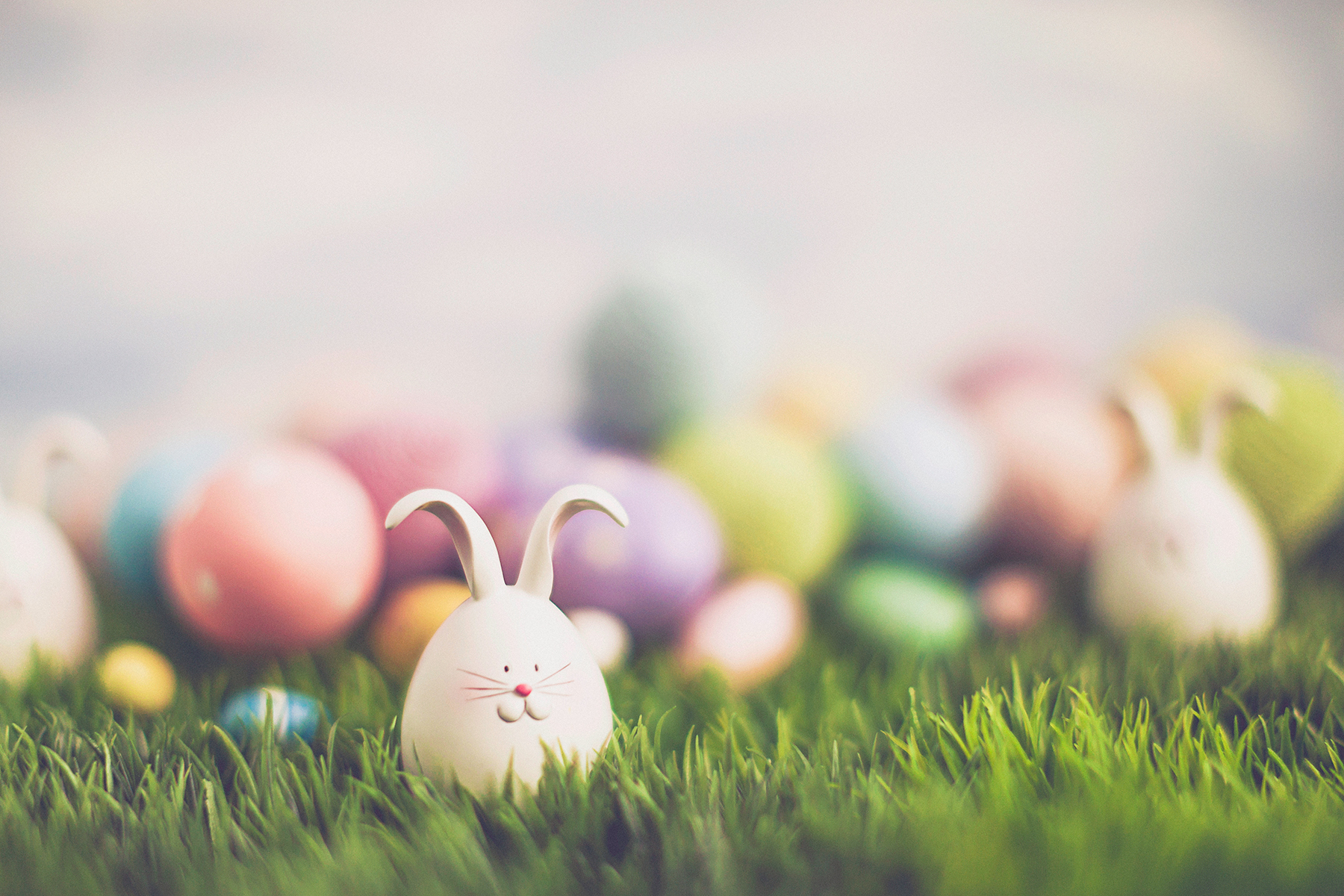 Image of a bunny decorated Easter egg on artificial grass in the foreground with other colourful Easter eggs out of focus in the background