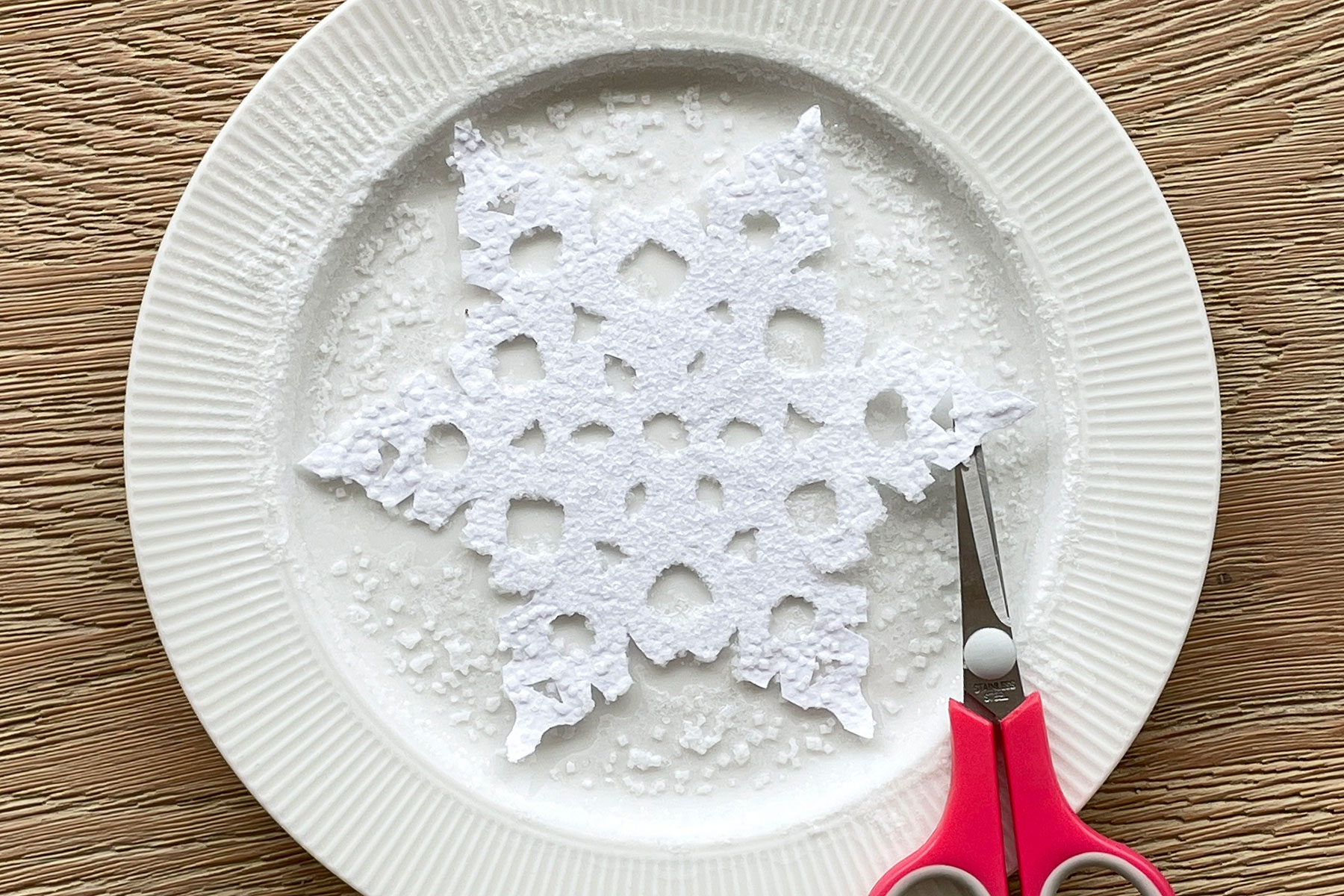A photo of a paper snowflake on a plate, covered in salt crystals