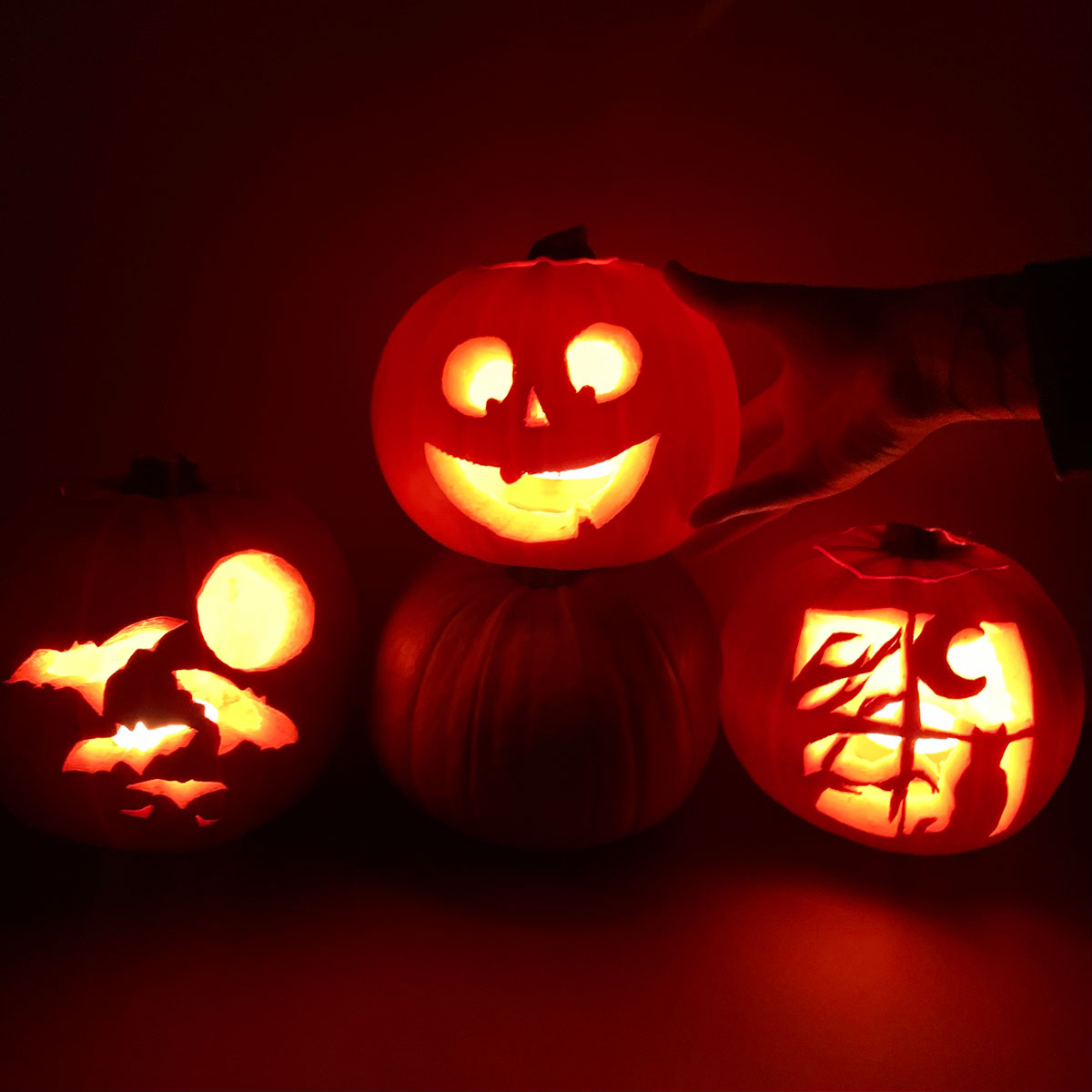 A photo of three carved pumpkins sitting in a darkened room with candles inside them glowing 