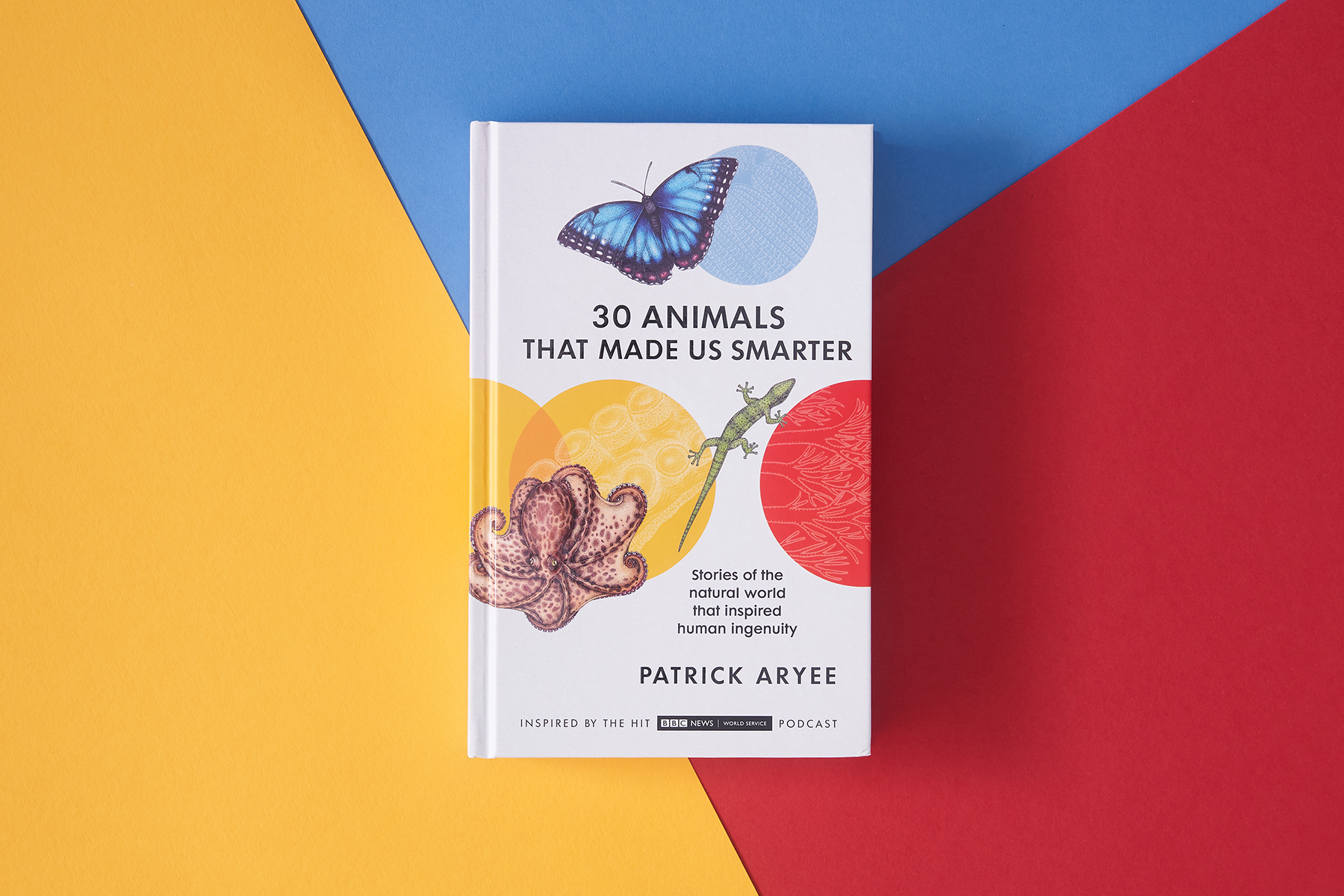A photo of the book 30 Animals That Made Us Smarter on top of a background of yellow, blue and red card