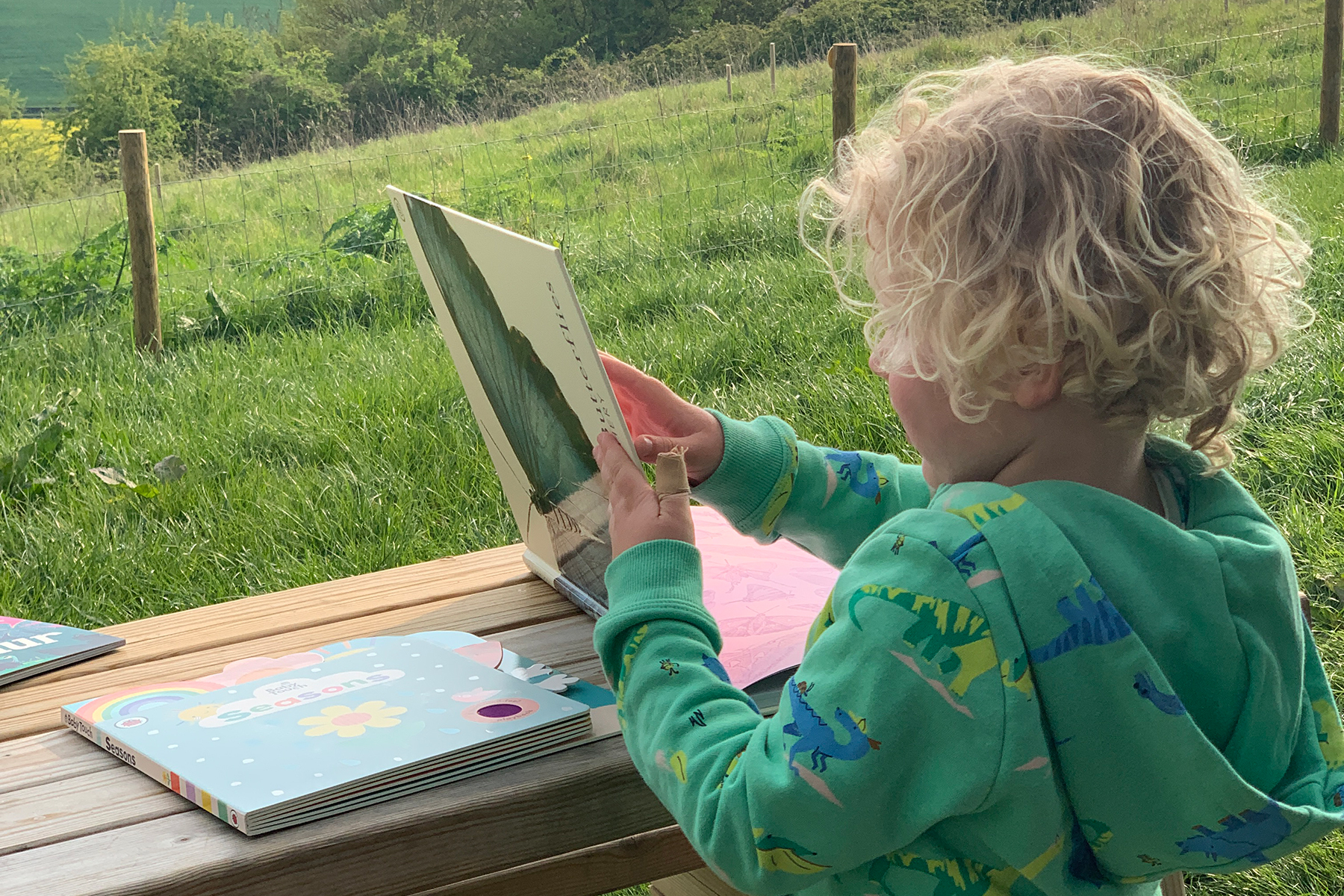 A photo of a young blonde haired child reading a Ladybird book against a beautiful field background