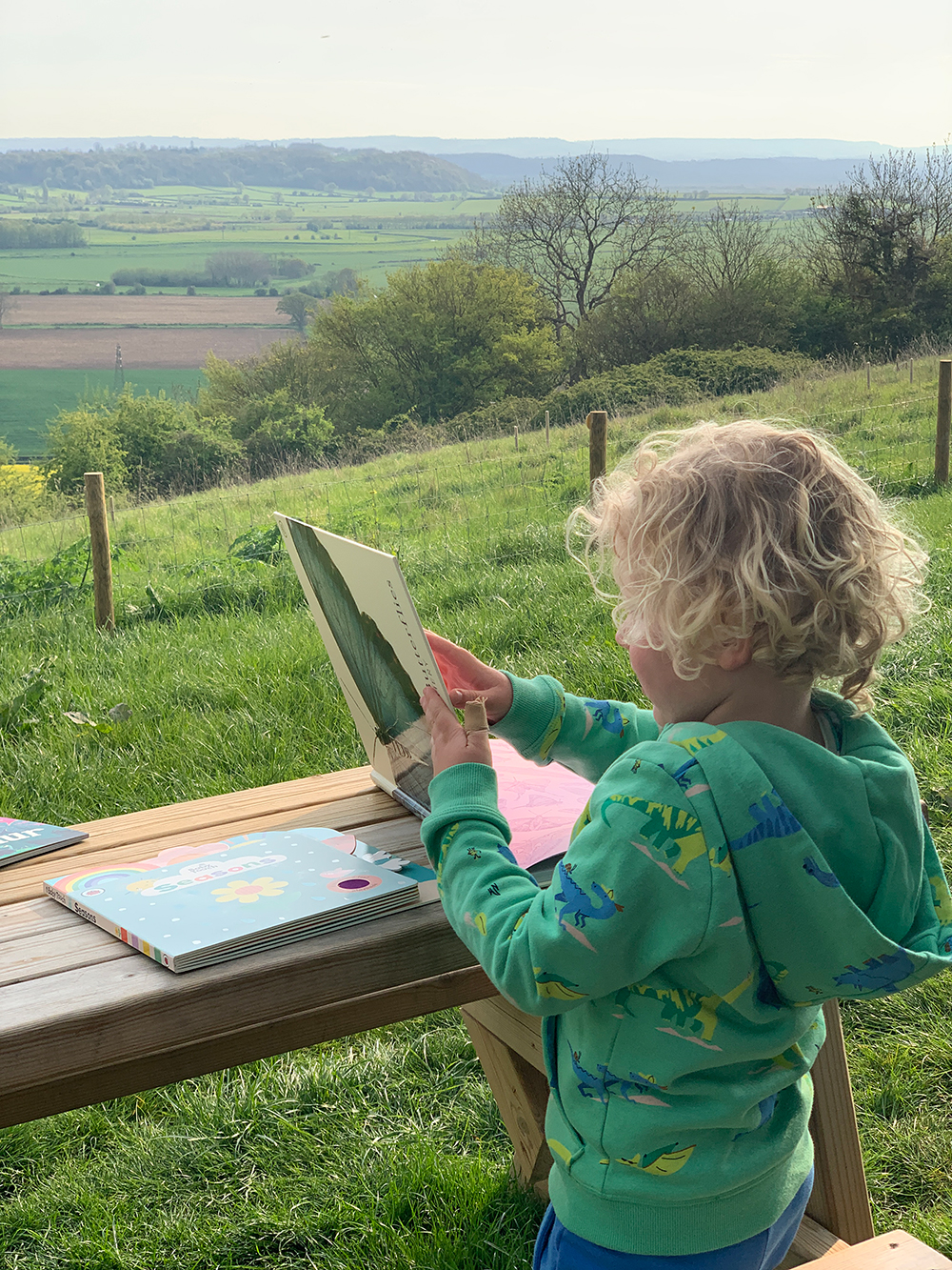 A photo of a young blonde haired child reading a Ladybird book against a beautiful field background