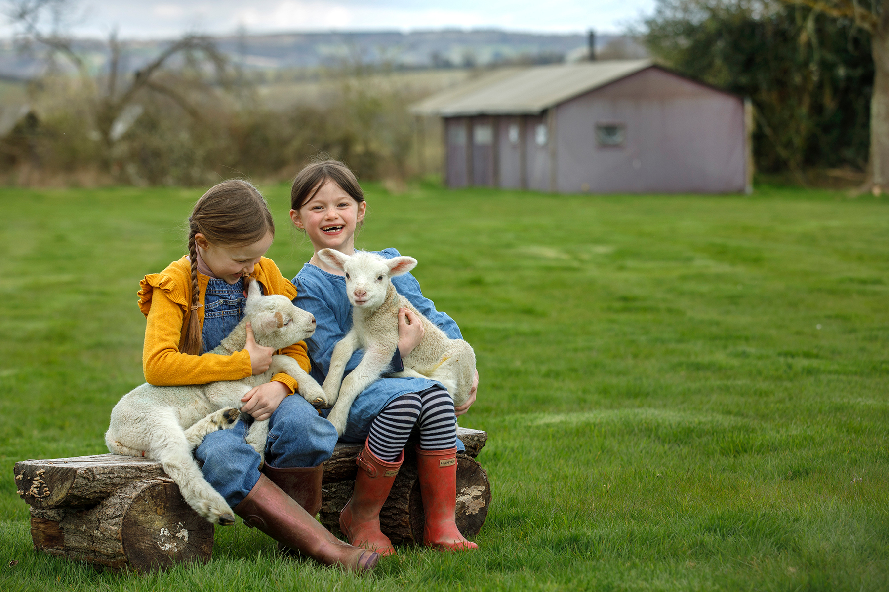 A photo of two children sitting in the middle of a field holding two little lambs with the Feather Down Farms accommodation behind them