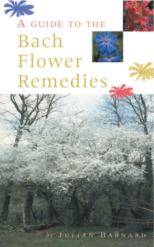A Guide To The Bach Flower Remedies