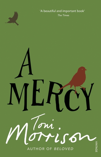 A Mercy