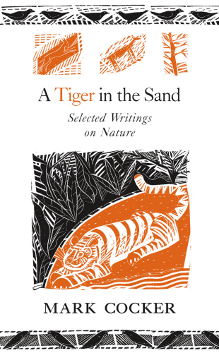 A Tiger in the Sand