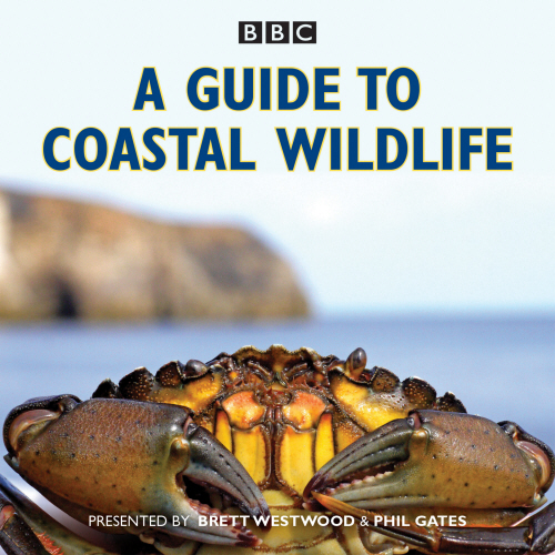 A Guide to Coastal Wildlife