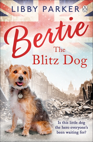 Bertie the Blitz Dog