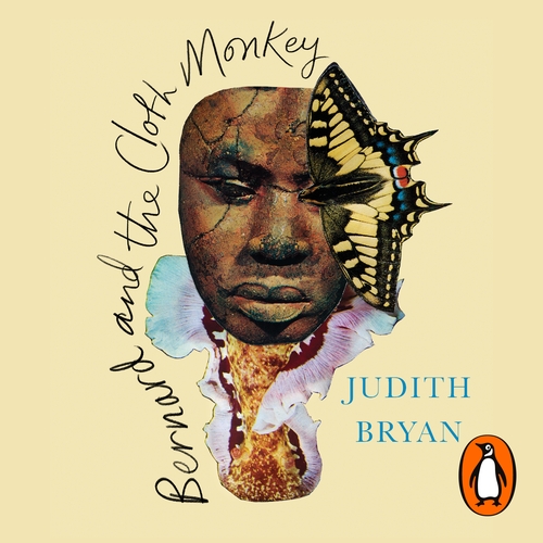 Bernard and the Cloth Monkey