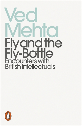 Fly and the Fly-Bottle