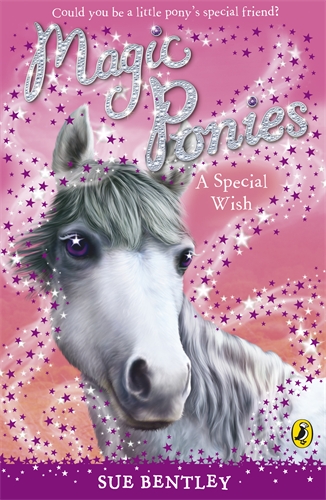 Magic Ponies: A Special Wish